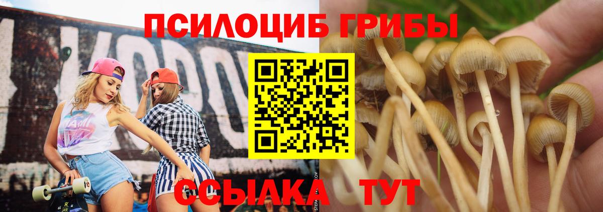 Галлюциногенные грибы мухоморы Красноярск